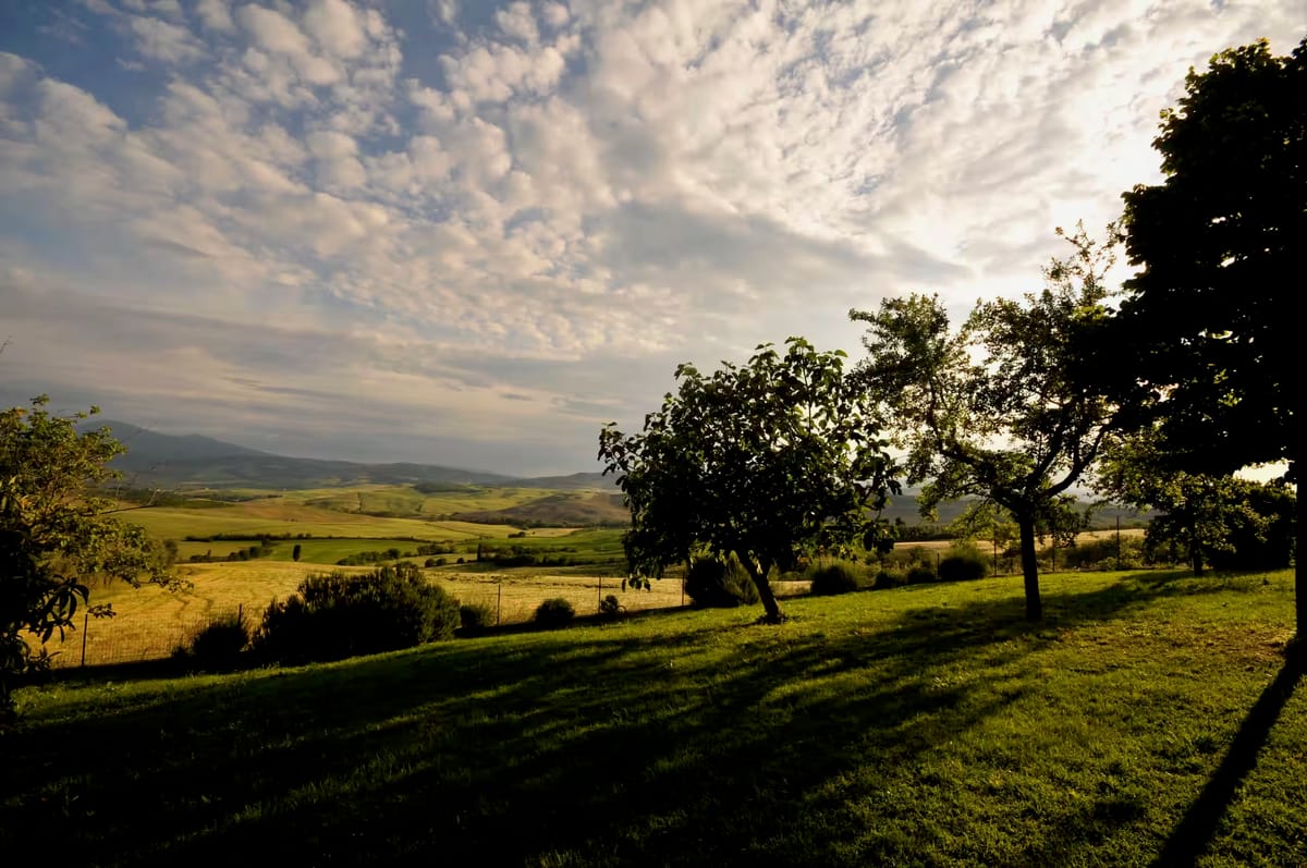 The garden in evening light, with fruit trees and the valley beyond