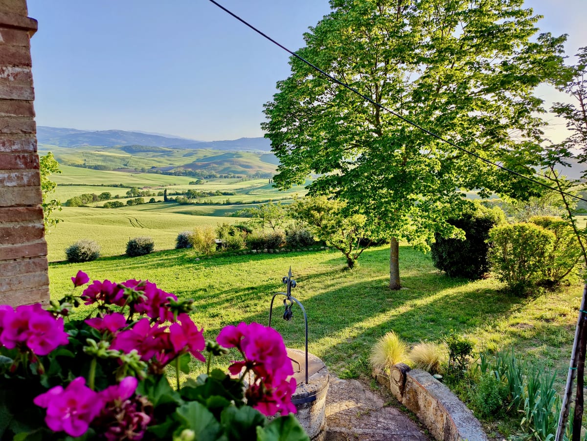 Geraniums flowering on the wall, with the garden and the Val d'Orcia behind