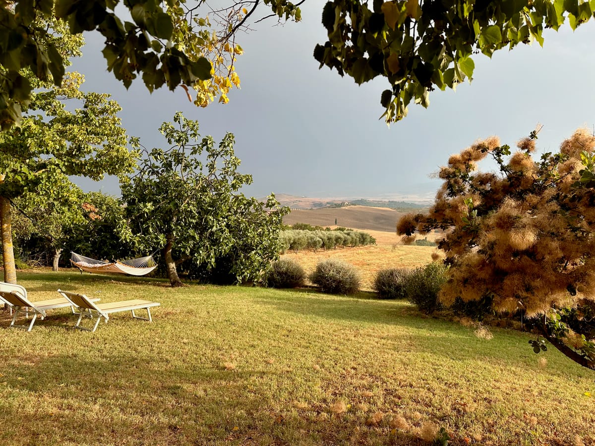 Loungers and hammock in the shade of the trees, a storm moving over the valley