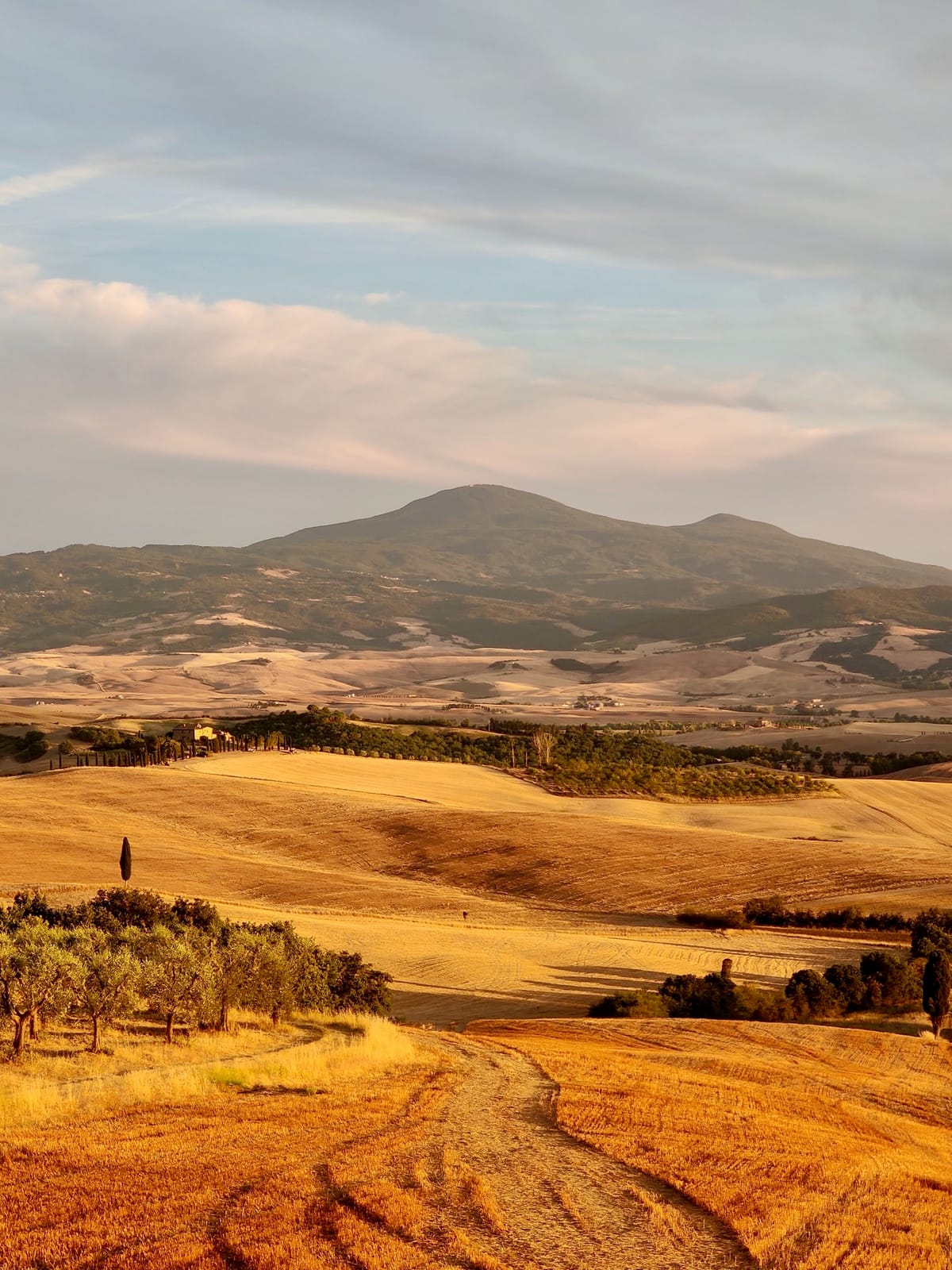 Golden summer hills and Monte Amiata in the evening light