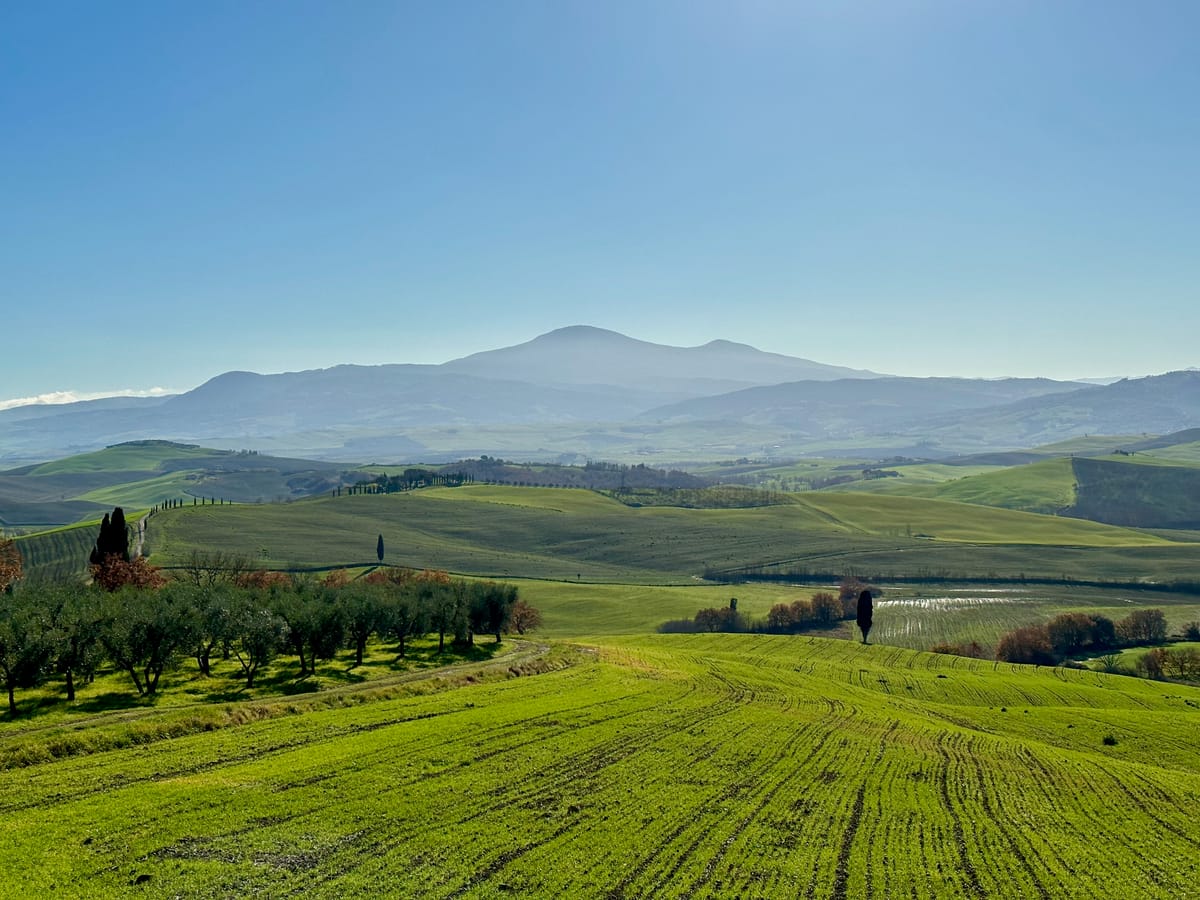 Green wheat fields in spring and the outline of Monte Amiata