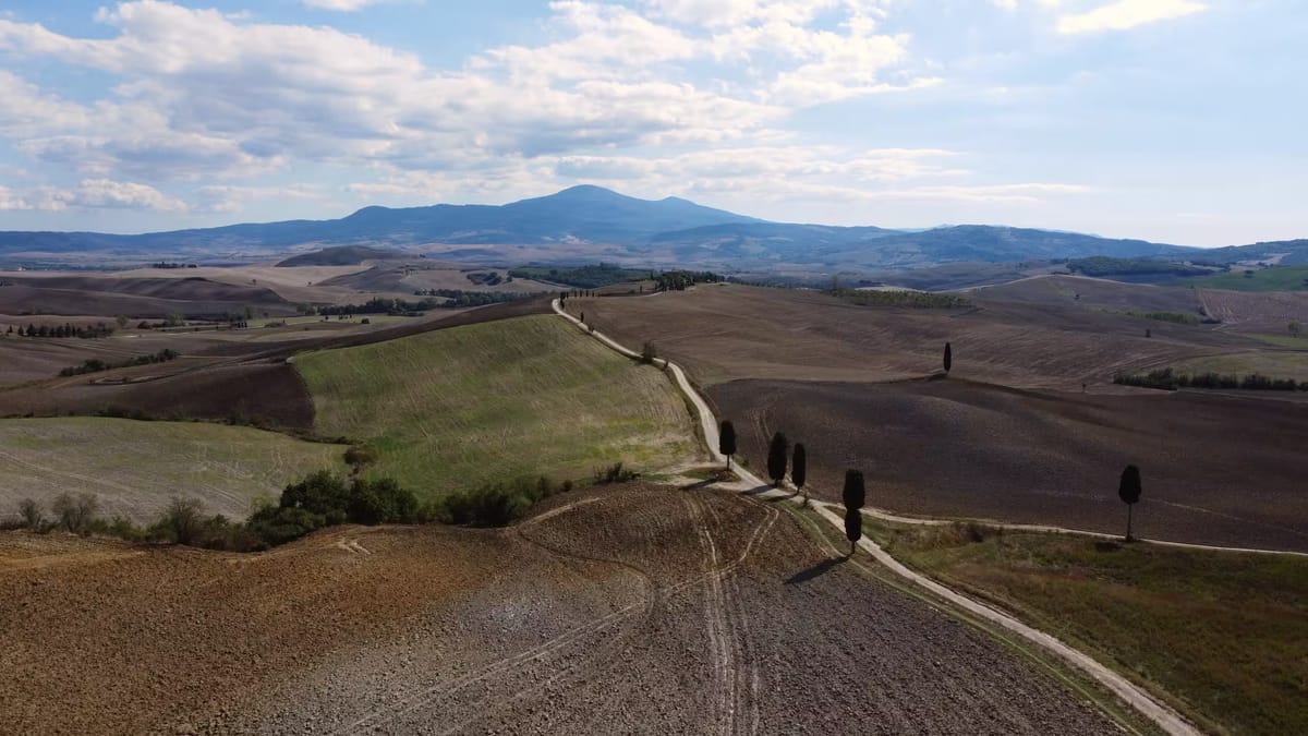 The white road climbing between ploughed fields towards the ridge