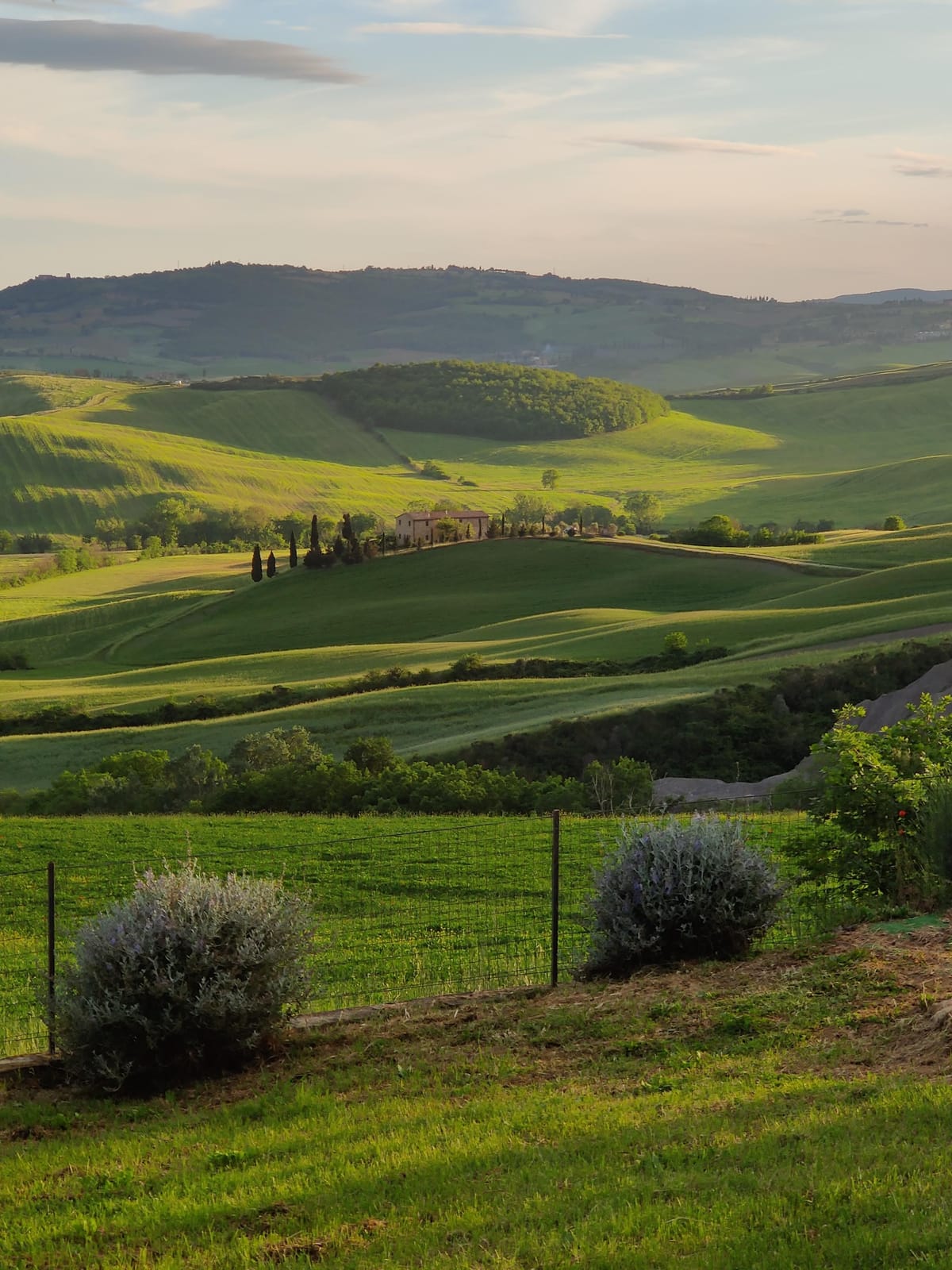 The deep green hills of May, with cypresses and a farmhouse on the ridge