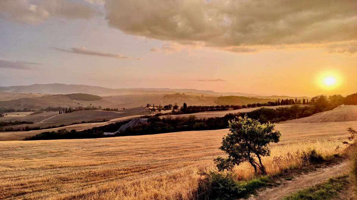 Sunset over the golden hills, a lone tree in the middle of the field
