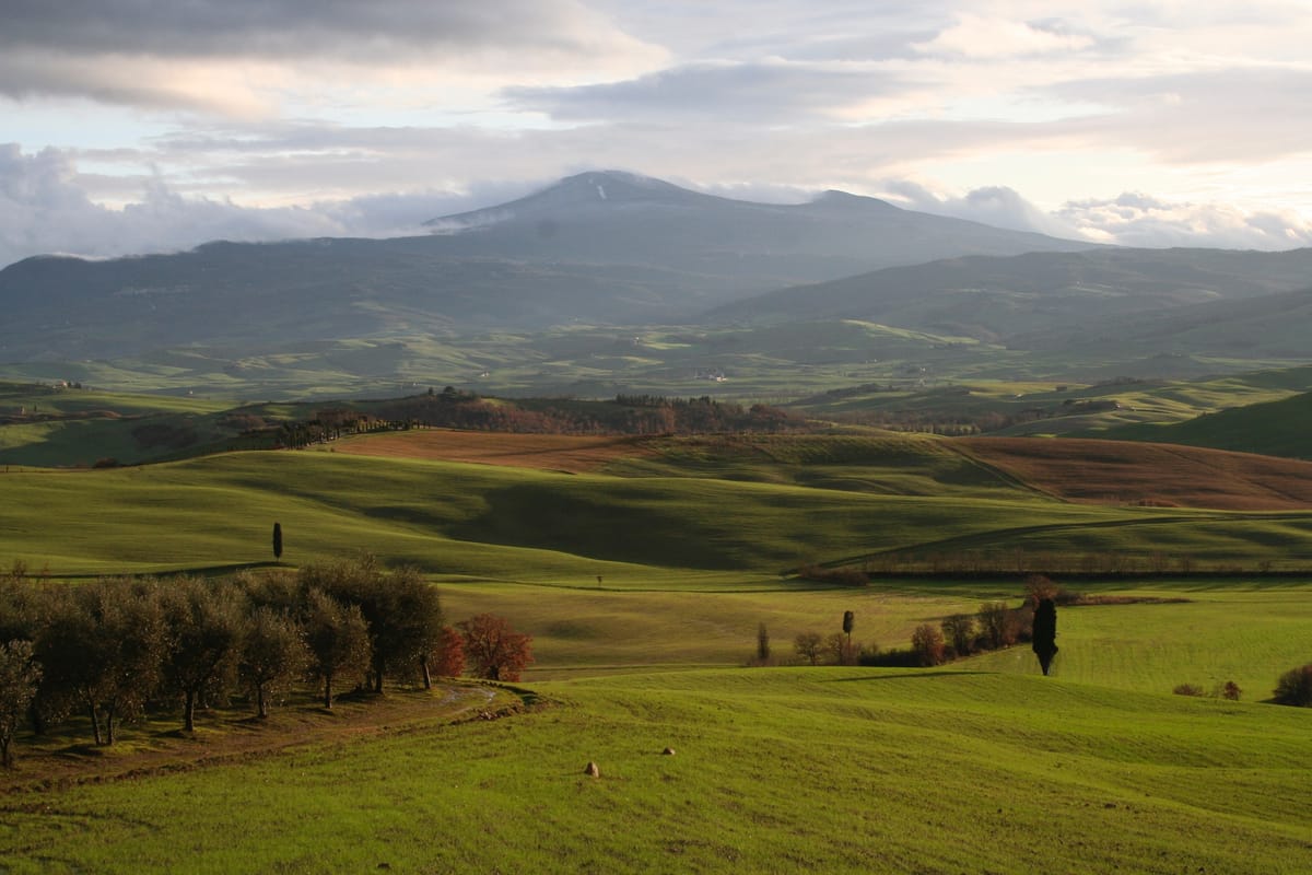 The green hills of the Val d'Orcia under clouds, olive trees in the foreground